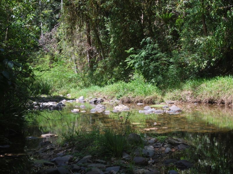 3660 Kalang Road, Kalang NSW 2454