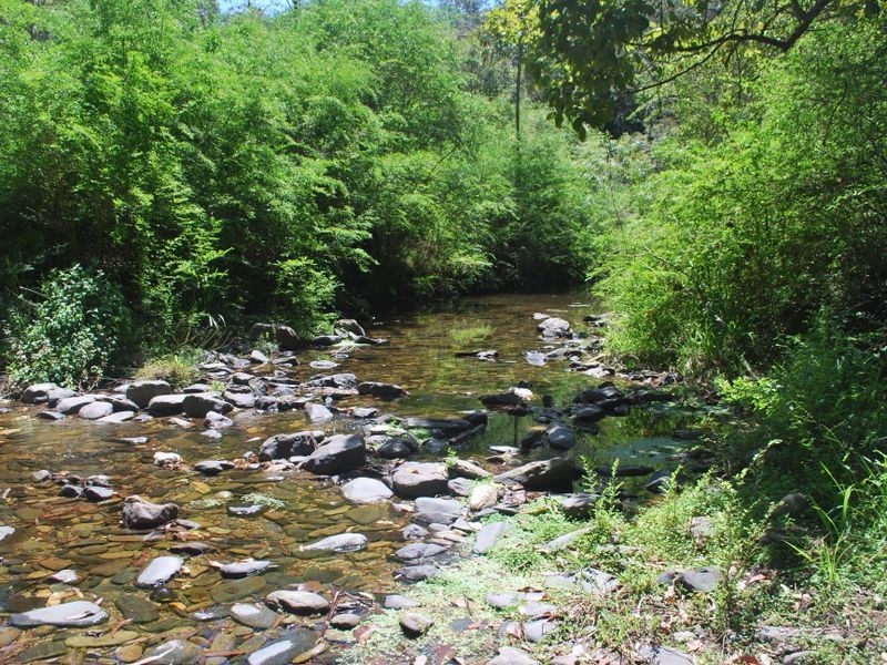 3660 Kalang Road, Kalang NSW 2454