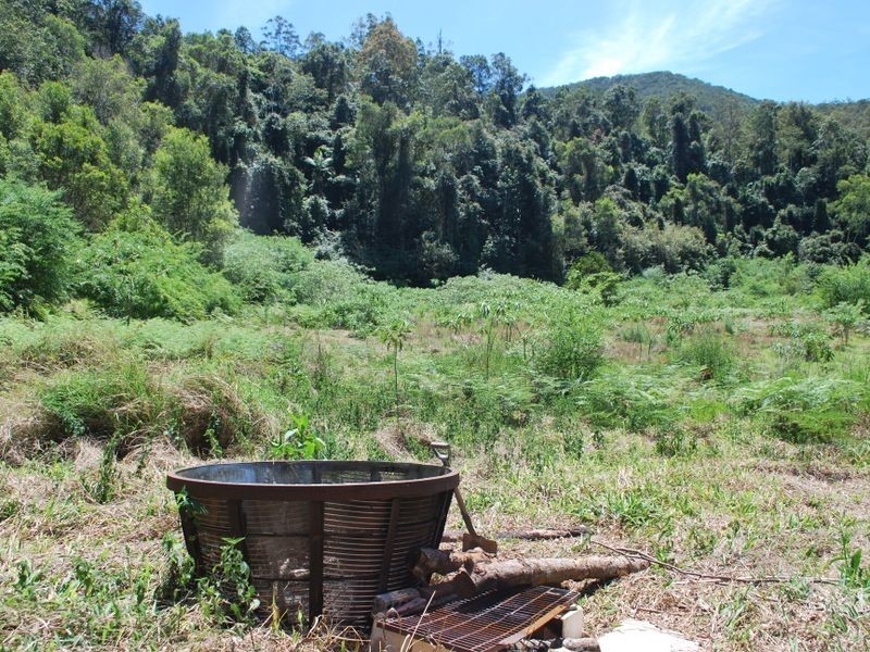 3660 Kalang Road, Kalang NSW 2454