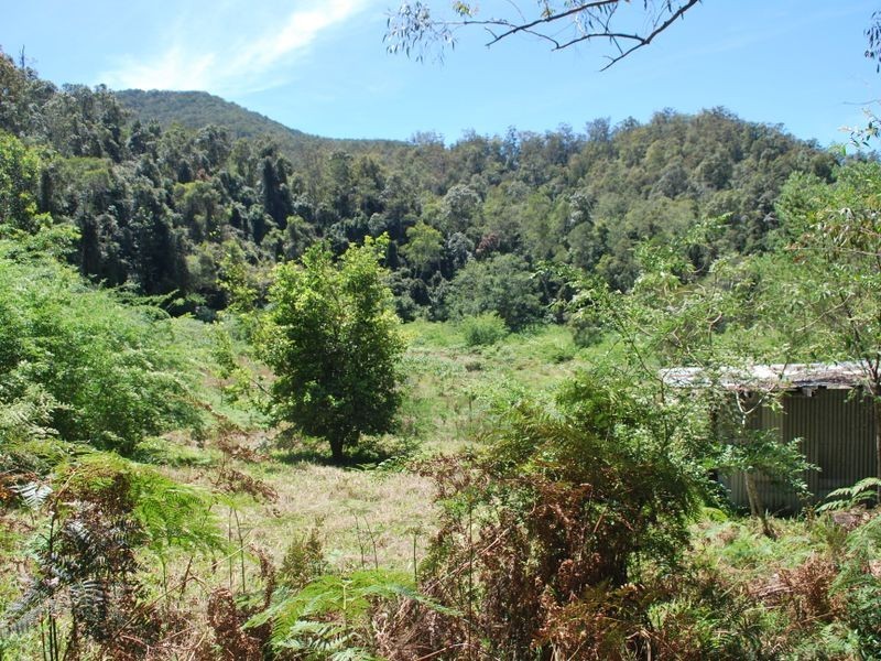 3660 Kalang Road, Kalang NSW 2454