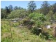 3660 Kalang Road, Kalang NSW 2454