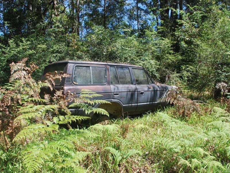 3660 Kalang Road, Kalang NSW 2454