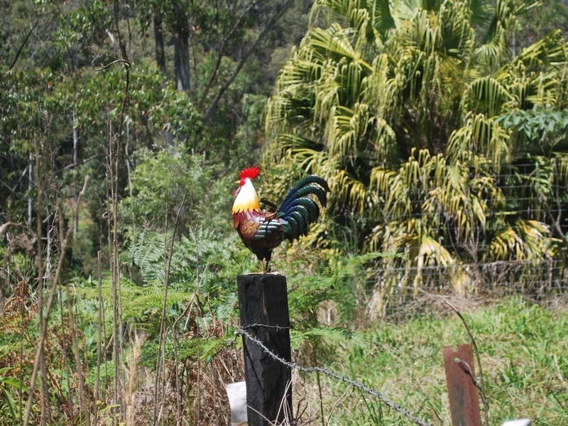 3660 Kalang Road, Kalang NSW 2454