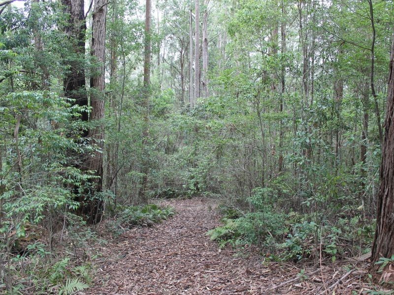 749 Valery Road, Valery NSW 2454