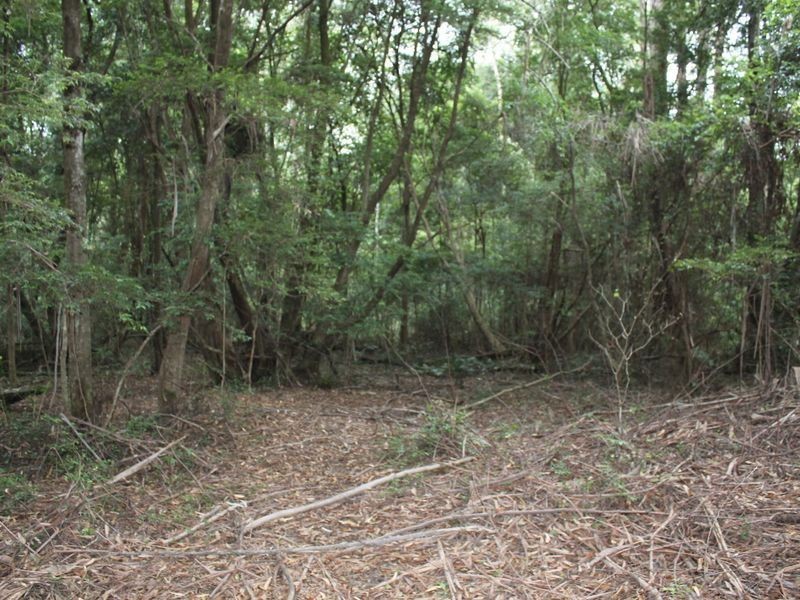 749 Valery Road, Valery NSW 2454