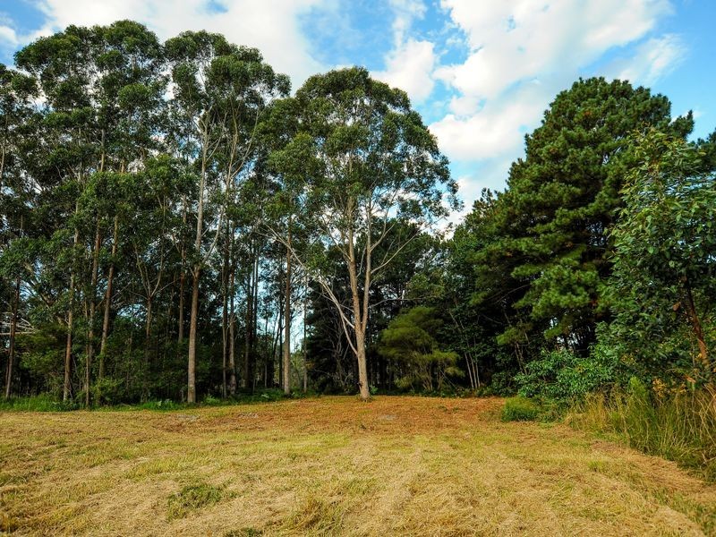 Lot 100 Royal Palm Drive, Sawtell NSW 2452