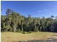 132 Mahers Road, Bellingen NSW 2454