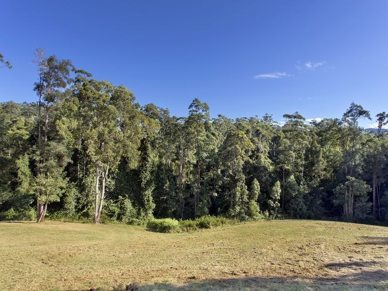132 Mahers Road, Bellingen NSW 2454