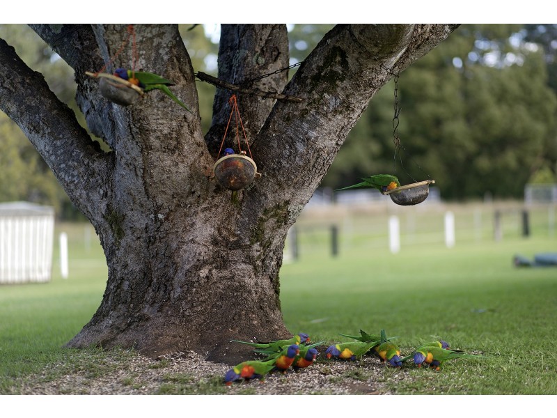 129 Braford Drive, Bonville NSW 2441