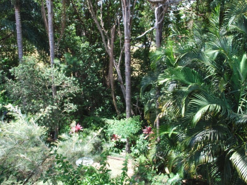 19 Caltowie Place, Coffs Harbour NSW 2450