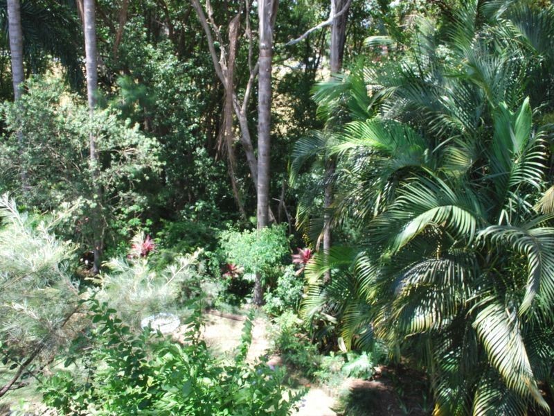 19 Caltowie Place, Coffs Harbour NSW 2450