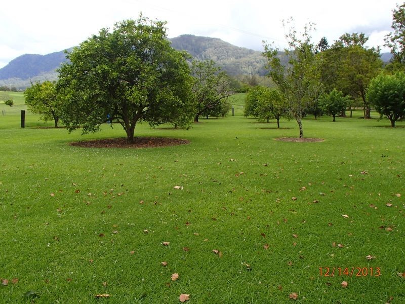 634 Gordonville Road, Bellingen NSW 2454