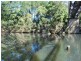 53 Sherwood Creek Road, Glenreagh NSW 2450
