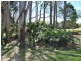 53 Sherwood Creek Road, Glenreagh NSW 2450