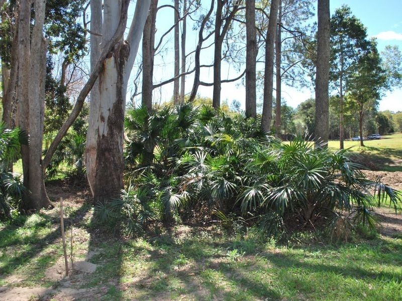 53 Sherwood Creek Road, Glenreagh NSW 2450