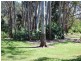 53 Sherwood Creek Road, Glenreagh NSW 2450