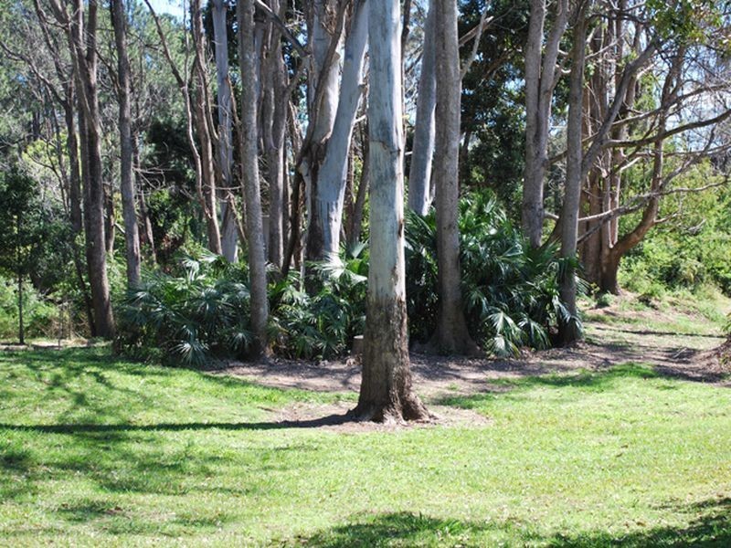 53 Sherwood Creek Road, Glenreagh NSW 2450