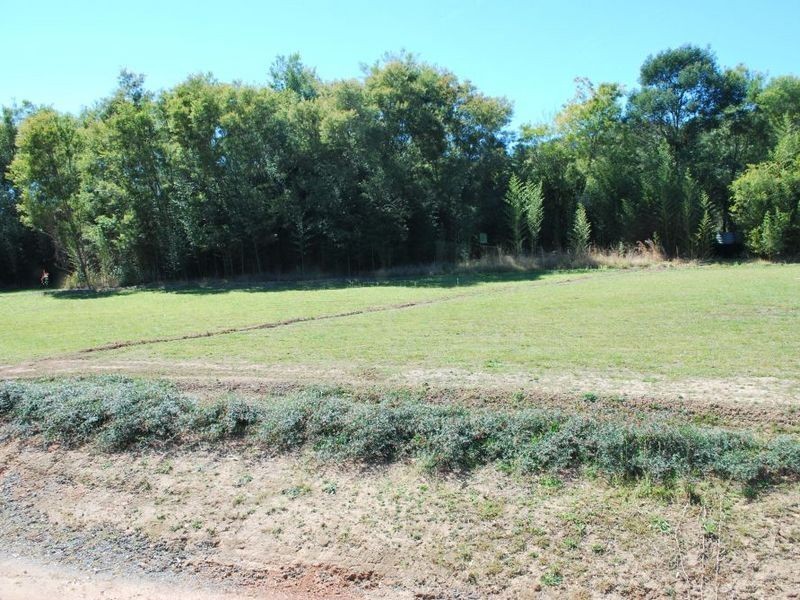 53 Sherwood Creek Road, Glenreagh NSW 2450