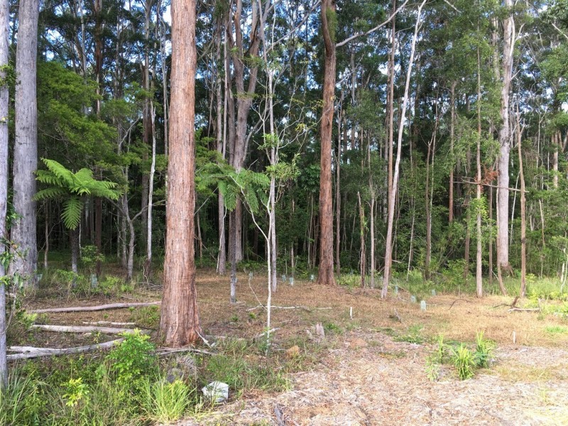 Lot 9 Mimiwali Drive, Bonville NSW 2441