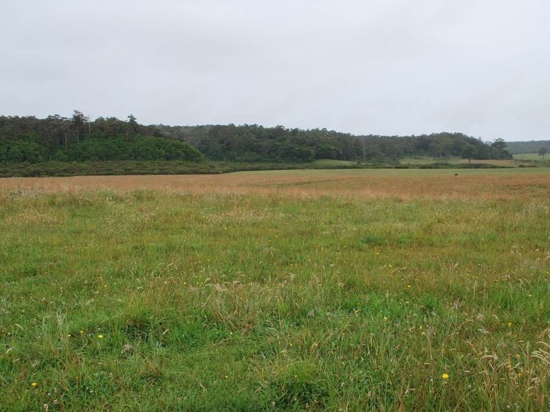 Lot 131 Lowana Road, Lowanna NSW 2450