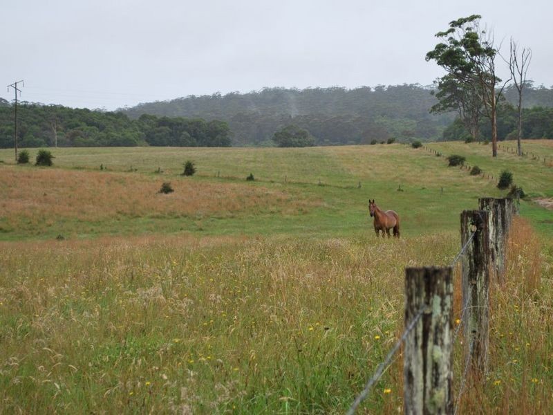 Lot 131 Lowana Road, Lowanna NSW 2450