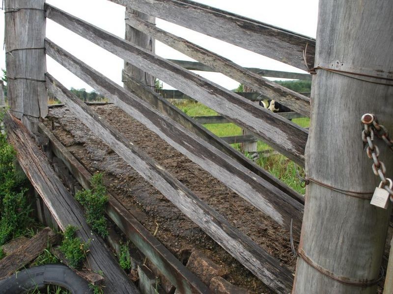 Lot 131 Lowana Road, Lowanna NSW 2450