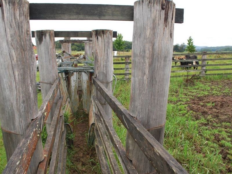 Lot 131 Lowana Road, Lowanna NSW 2450