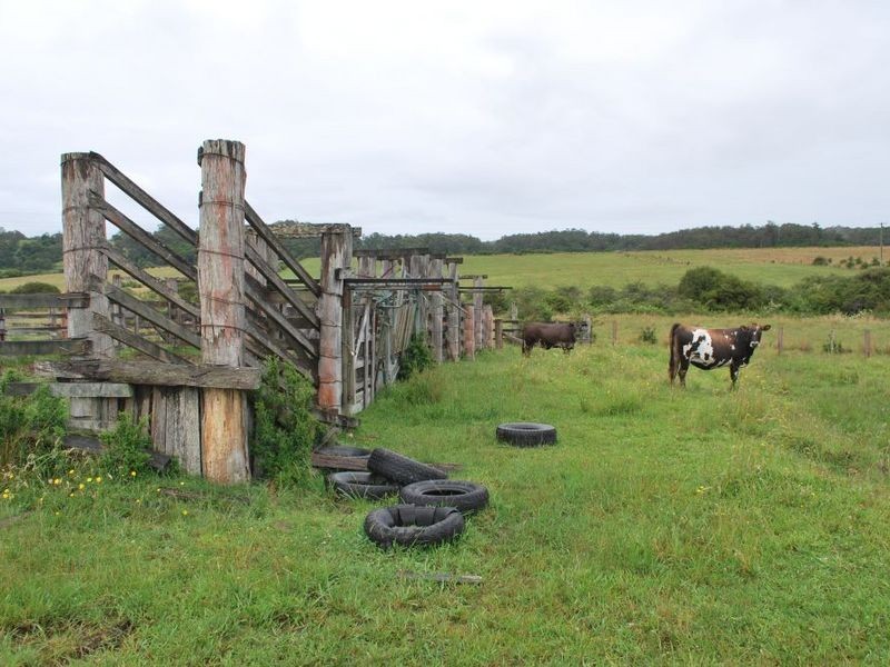 Lot 131 Lowana Road, Lowanna NSW 2450