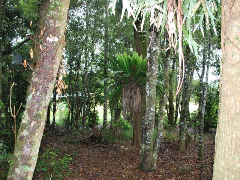 Lot 131 Lowana Road, Lowanna NSW 2450