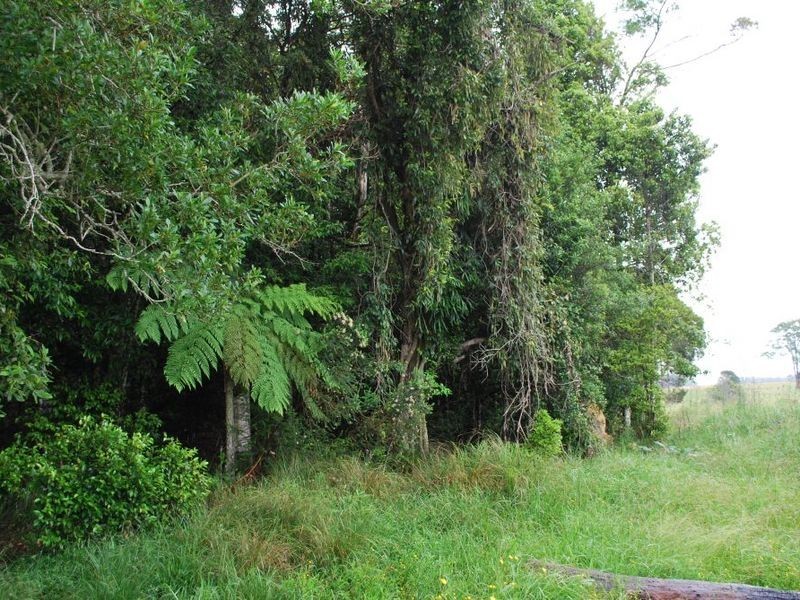 Lot 131 Lowana Road, Lowanna NSW 2450