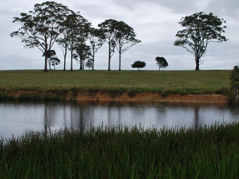 Lot 131 Lowana Road, Lowanna NSW 2450