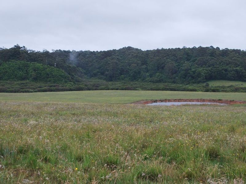 Lot 131 Lowana Road, Lowanna NSW 2450