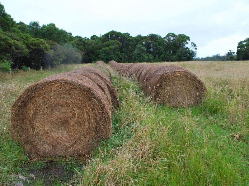 Lot 131 Lowana Road, Lowanna NSW 2450