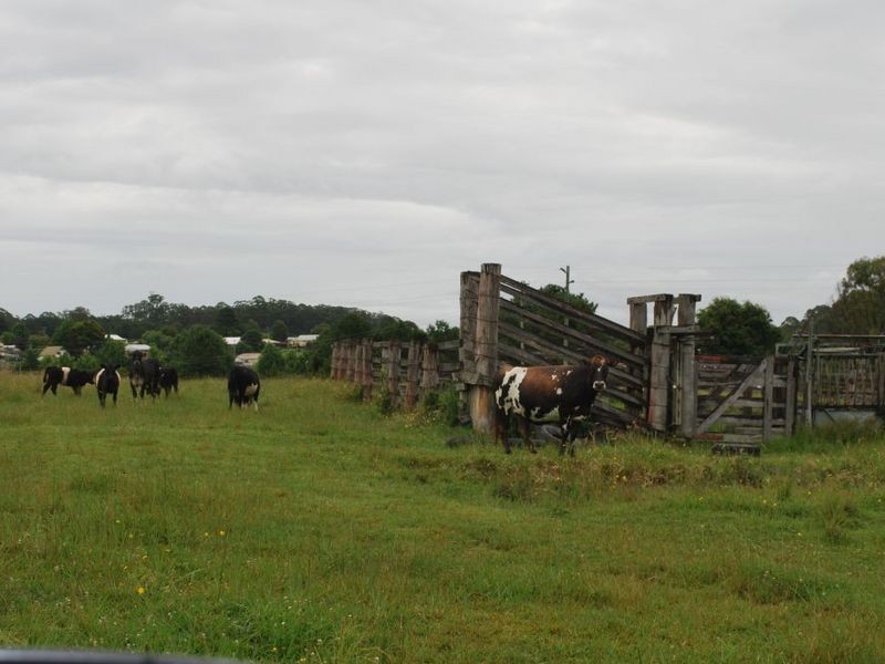 Lot 131 Lowana Road, Lowanna NSW 2450