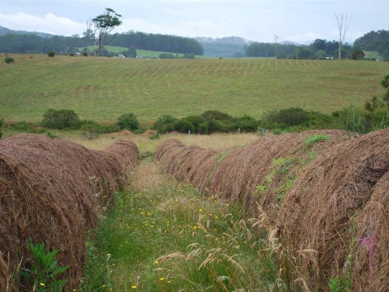 Lot 131 Lowana Road, Lowanna NSW 2450