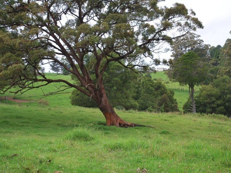 327 Moleton Road, Lowanna NSW 2450