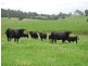 327 Moleton Road, Lowanna NSW 2450