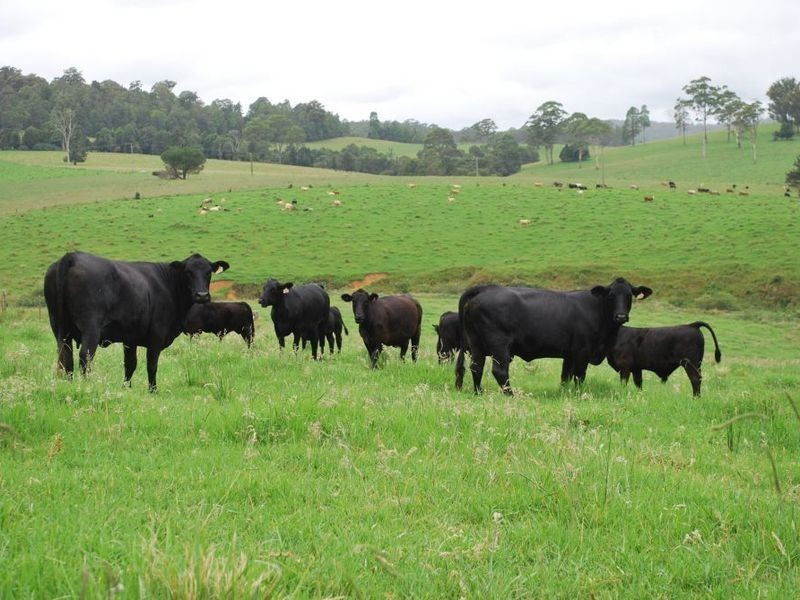 327 Moleton Road, Lowanna NSW 2450
