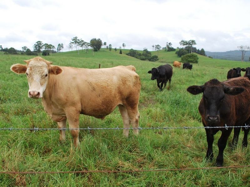 327 Moleton Road, Lowanna NSW 2450