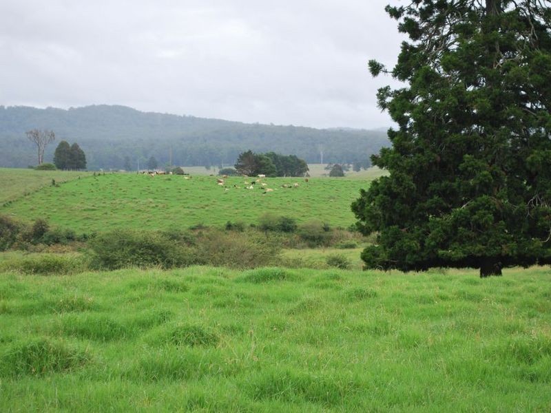 327 Moleton Road, Lowanna NSW 2450