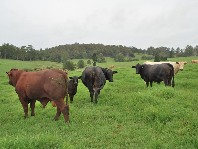 327 Moleton Road, Lowanna NSW 2450
