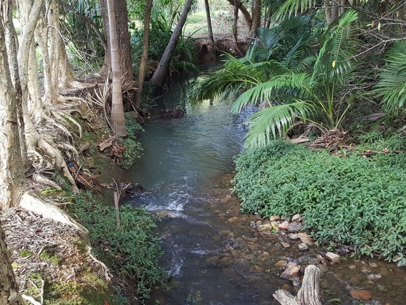 13 Oxley Place, Coffs Harbour NSW 2450