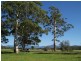 33a River Street, Repton NSW 2454