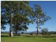 33 River Street, Repton NSW 2454