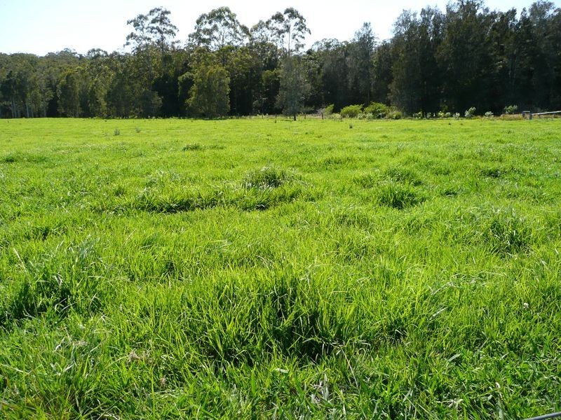 33 River Street, Repton NSW 2454