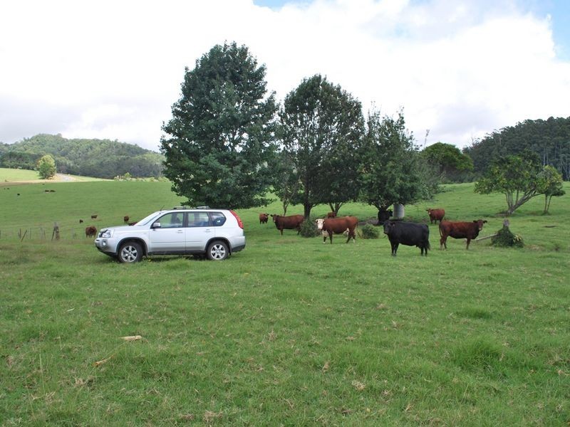 2040 Eastern Dorrigo Road, Ulong NSW 2450