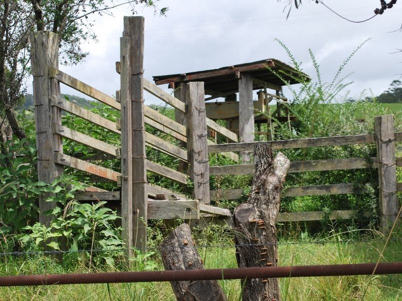 2040 Eastern Dorrigo Road, Ulong NSW 2450