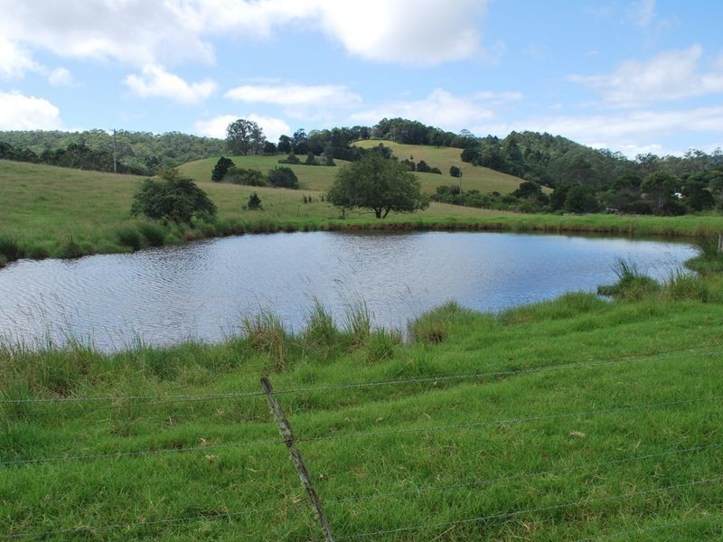 2040 Eastern Dorrigo Road, Ulong NSW 2450