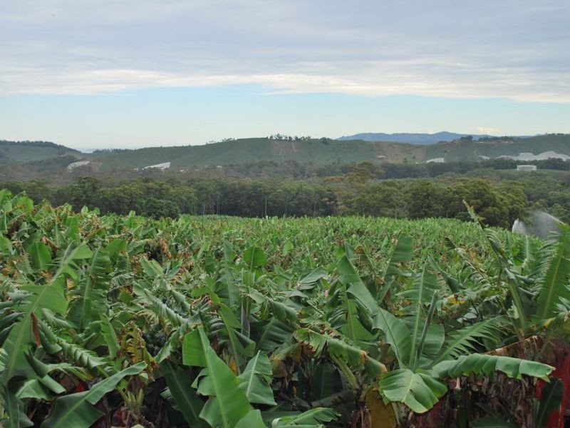 Lot 1 Greys Road, Woolgoolga NSW 2456