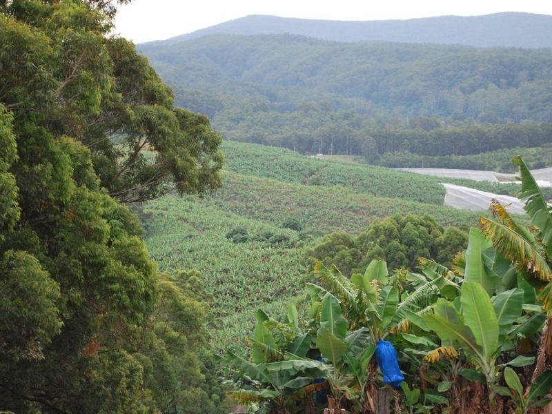 Lot 1 Greys Road, Woolgoolga NSW 2456